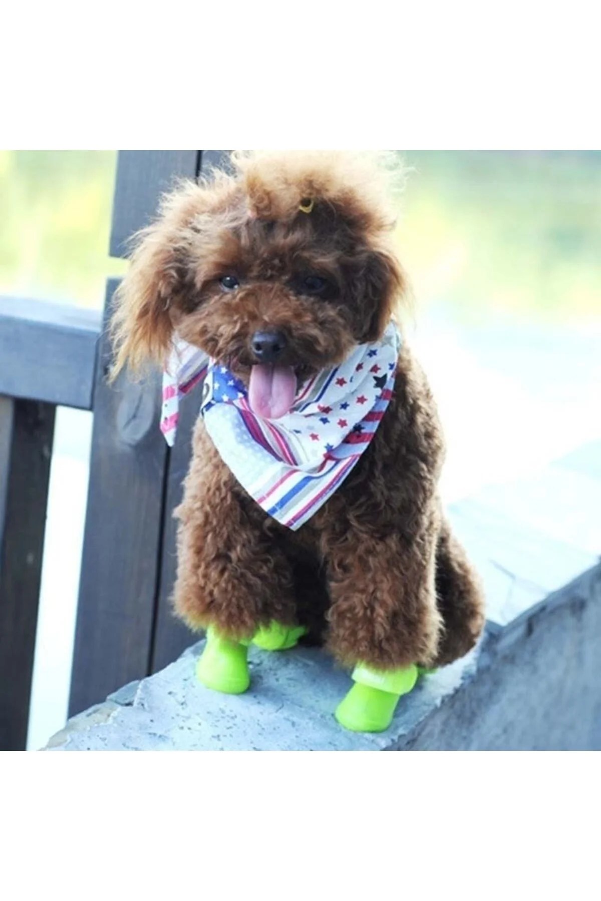 Silikon Köpek Ayakkabı S Beden - pazariz Görsel 2