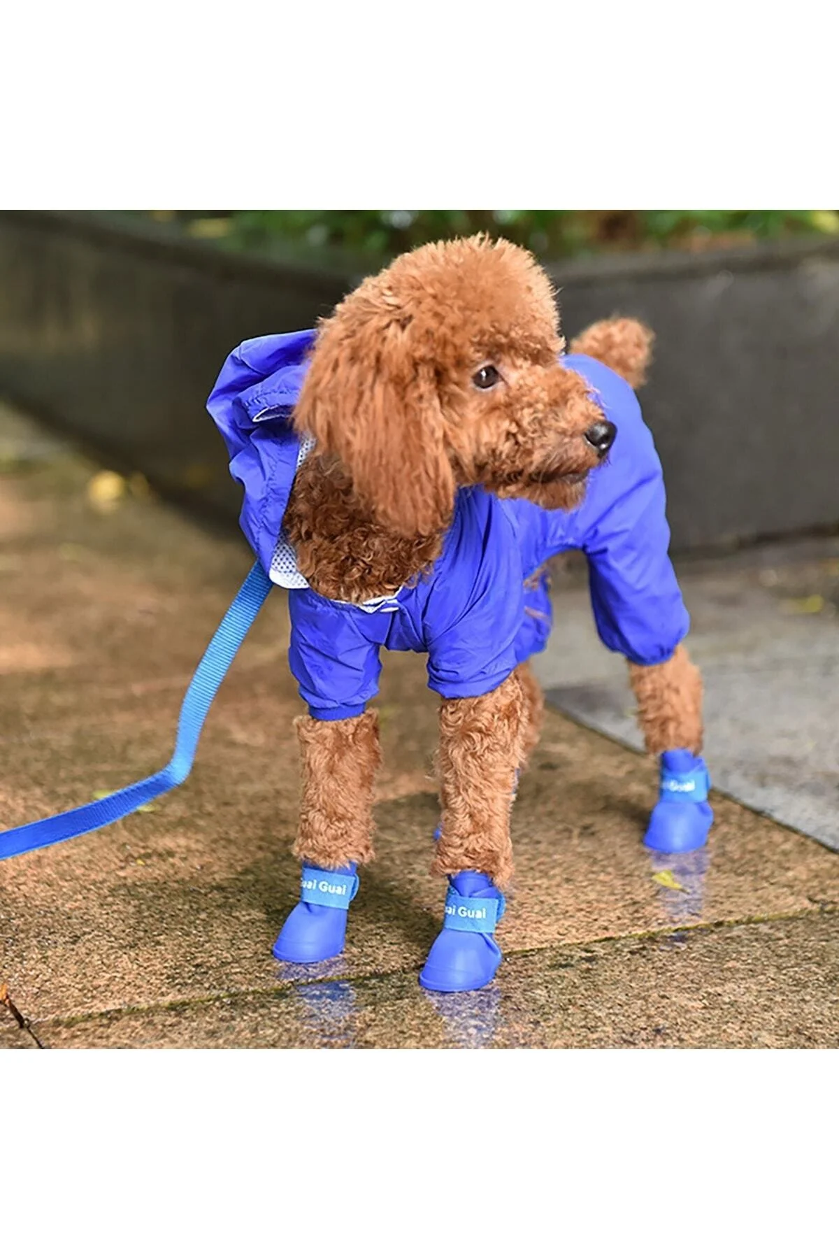 Silikon Köpek Ayakkabı S Beden - pazariz Görsel 3
