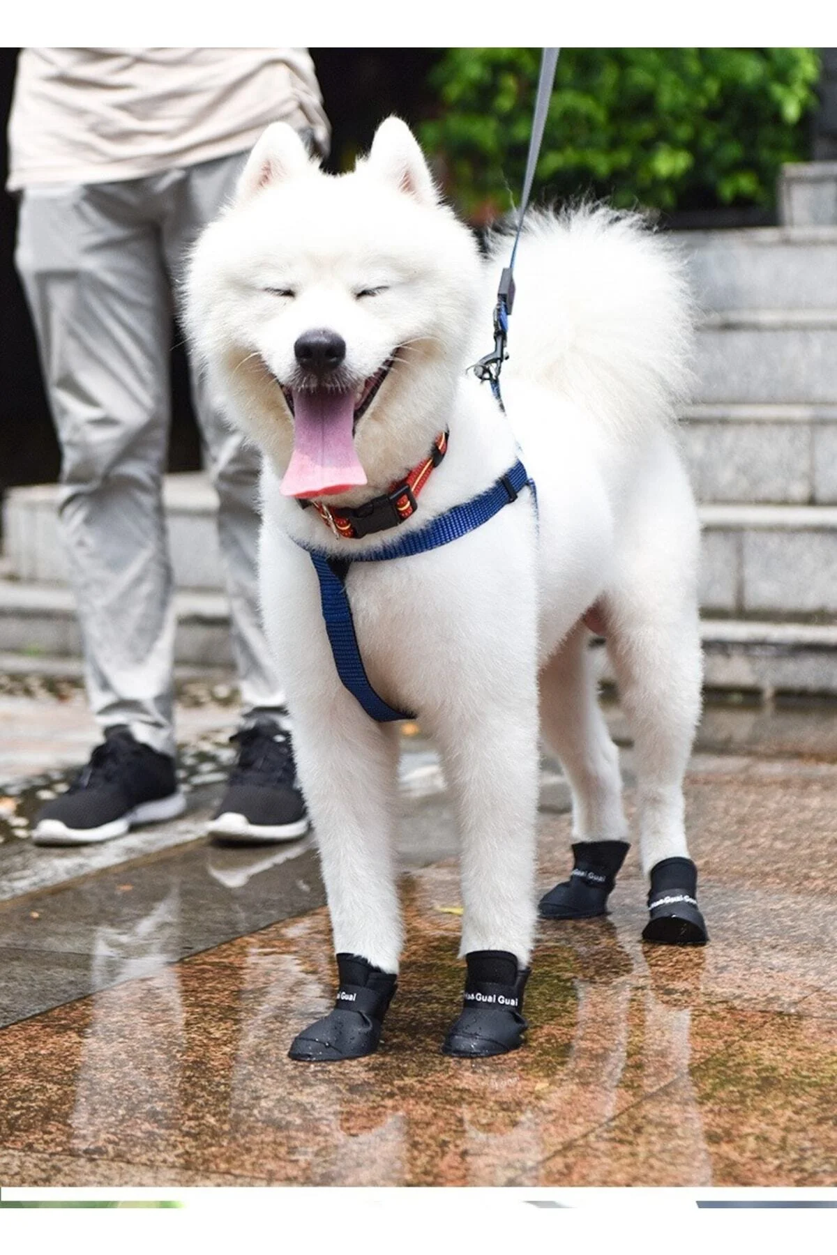 Silikon Köpek Ayakkabı S Beden - pazariz Görsel 6