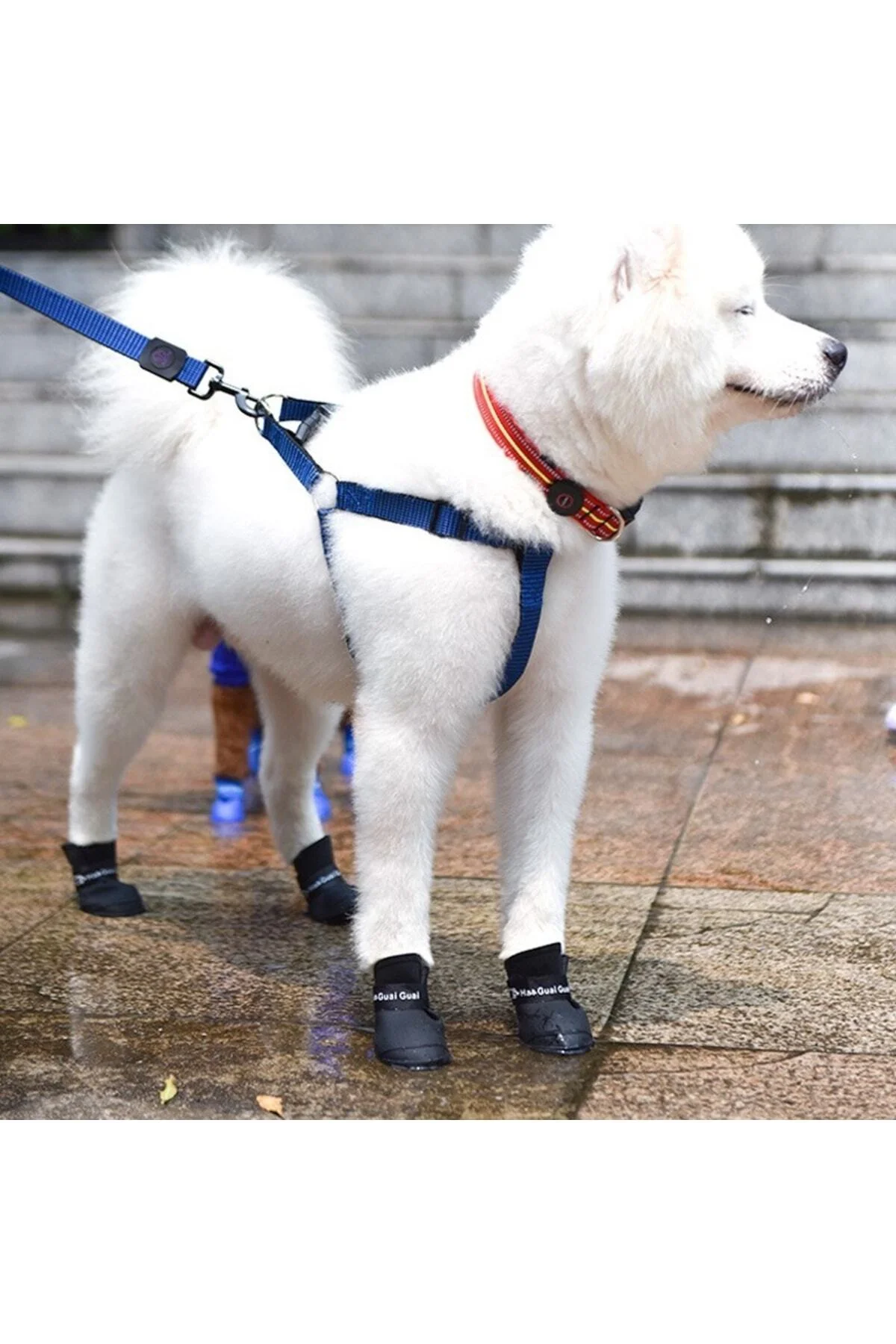 Silikon Köpek Ayakkabı S Beden - pazariz Görsel 4