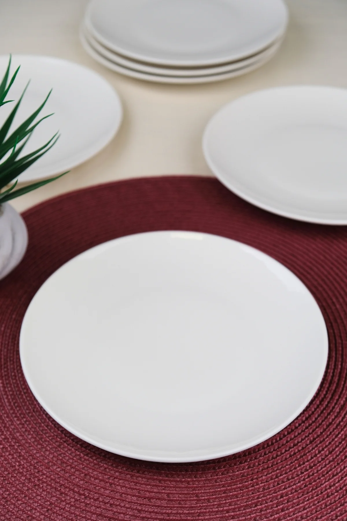 Tabak Evi Chic Servis Tabağı 24,50cm 6 LI - tabakevi Görsel 3