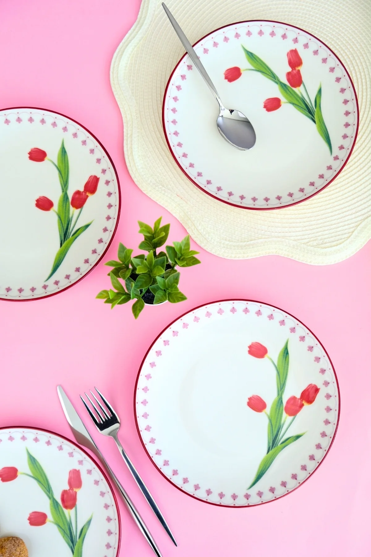 Tabak Evi Porselen Lale Tuval Pasta Takımı Rimli 20 Cm 4 Kişilik 4 Parça Tvl4ptprs1160 - tabakevi Görsel 4