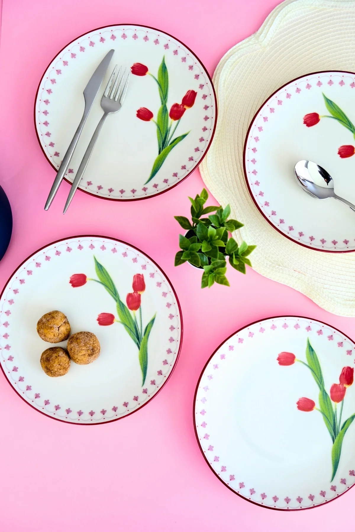 Tabak Evi Porselen Lale Tuval Pasta Takımı Rimli 20 Cm 4 Kişilik 4 Parça Tvl4ptprs1160 - tabakevi Görsel 6