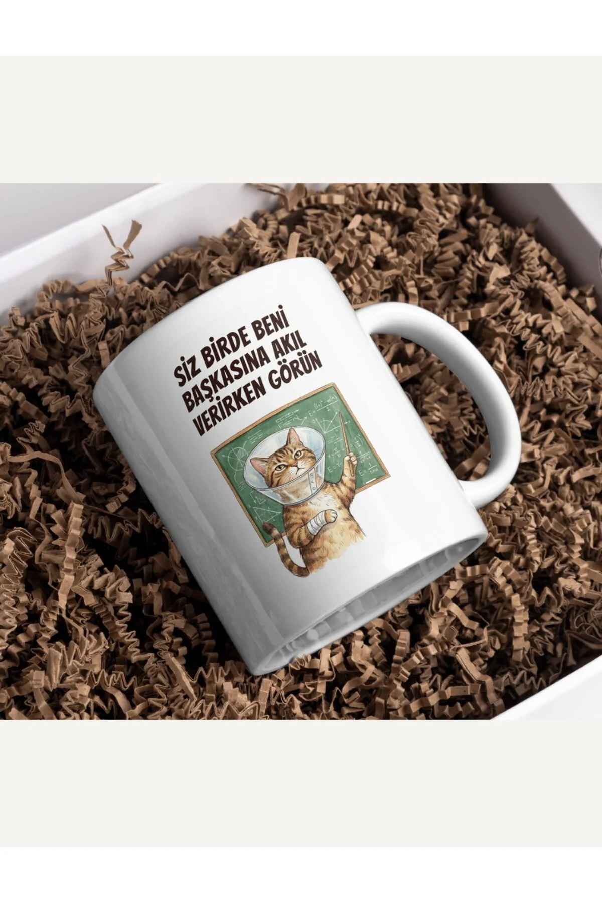 "Siz Bir de Beni Başkasına Akıl Verirken Görün" Kedi Kupa