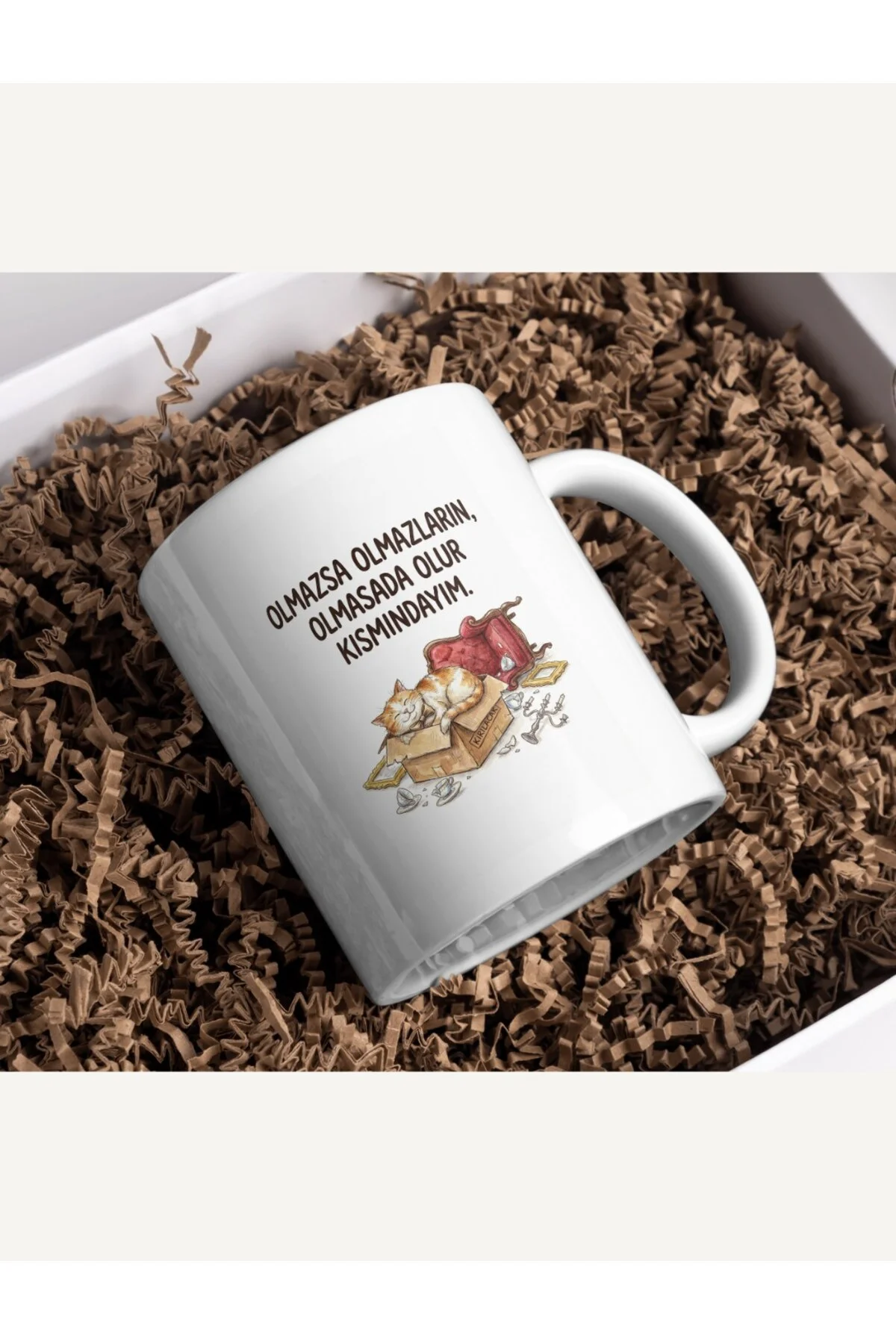 "Olmazsa Olmazların Olmasa Da Olur Kısmındayım" Kedi Kupa