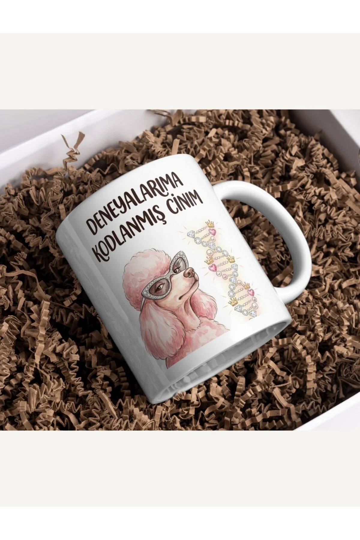 "Deneyalarıma Kodlanmış Canım" Pembe Kaniş Tasarım Kupa